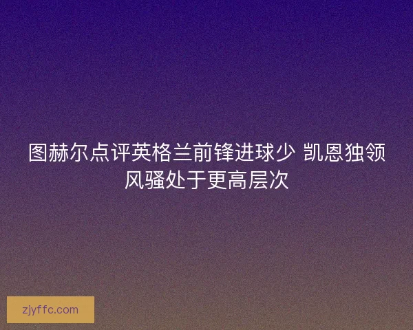 图赫尔点评英格兰前锋进球少 凯恩独领风骚处于更高层次