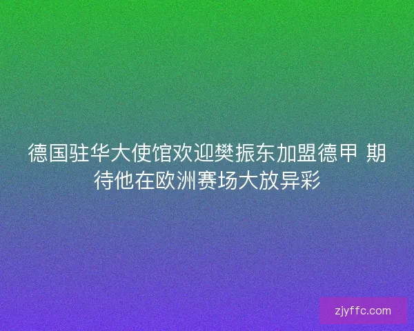 德国驻华大使馆欢迎樊振东加盟德甲 期待他在欧洲赛场大放异彩